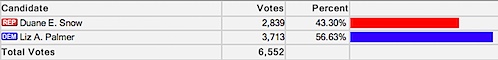 Virginia Board of Elections - Election Night Results - November 5th, 2013 - Snow-Palmer.jpg