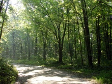 Gravel Road, thanks to ambientfusionÂ  - https://www.flickr.com/photos/makasu/1236434150/