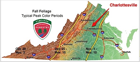 Fall Foliage | Virginia Department of Forestry
